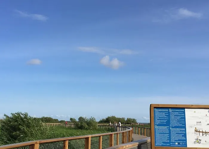 Solar - House With Private Garden 公寓 派尔努