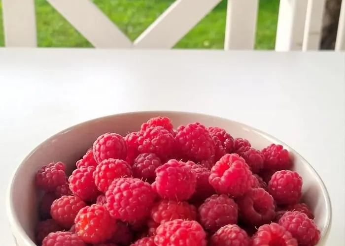 公寓 Solar - House With Private Garden 派尔努