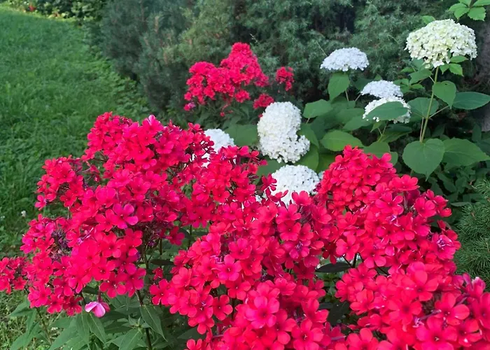 Solar - House With Private Garden * 派尔努