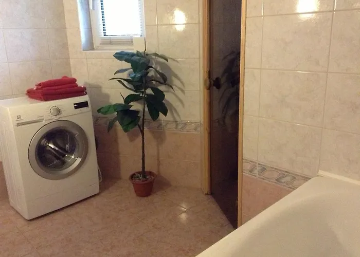 公寓 Solar - House With Private Garden 派尔努